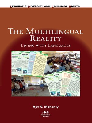 cover image of The Multilingual Reality